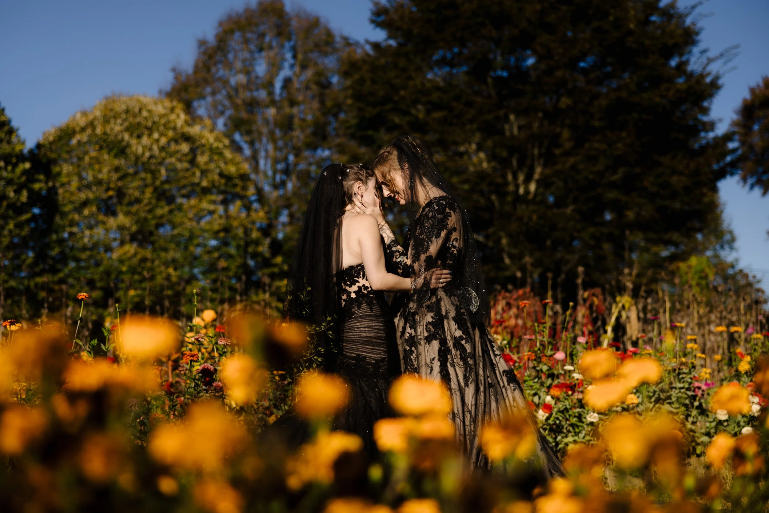 Photographer:  Alexa Frankovitch 