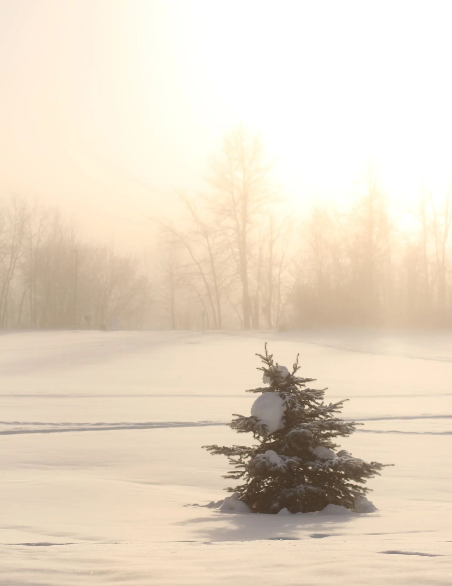 Start the New Year with Self-Care: Pre-Book Now &amp; Win Our Double Delight Experience