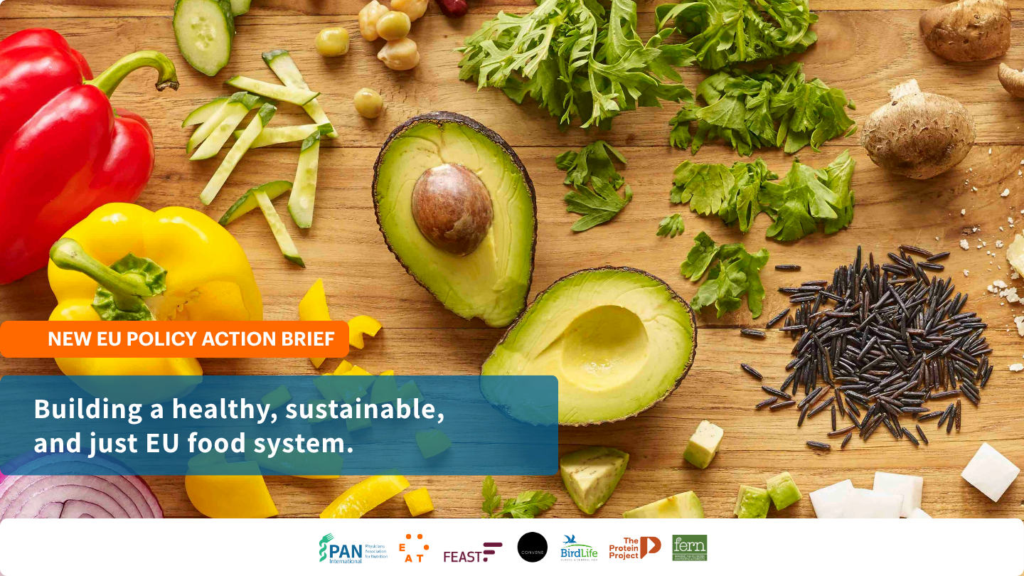 PAN International Joins EU Policy Action Brief for Healthy, Sustainable and Just Food Systems