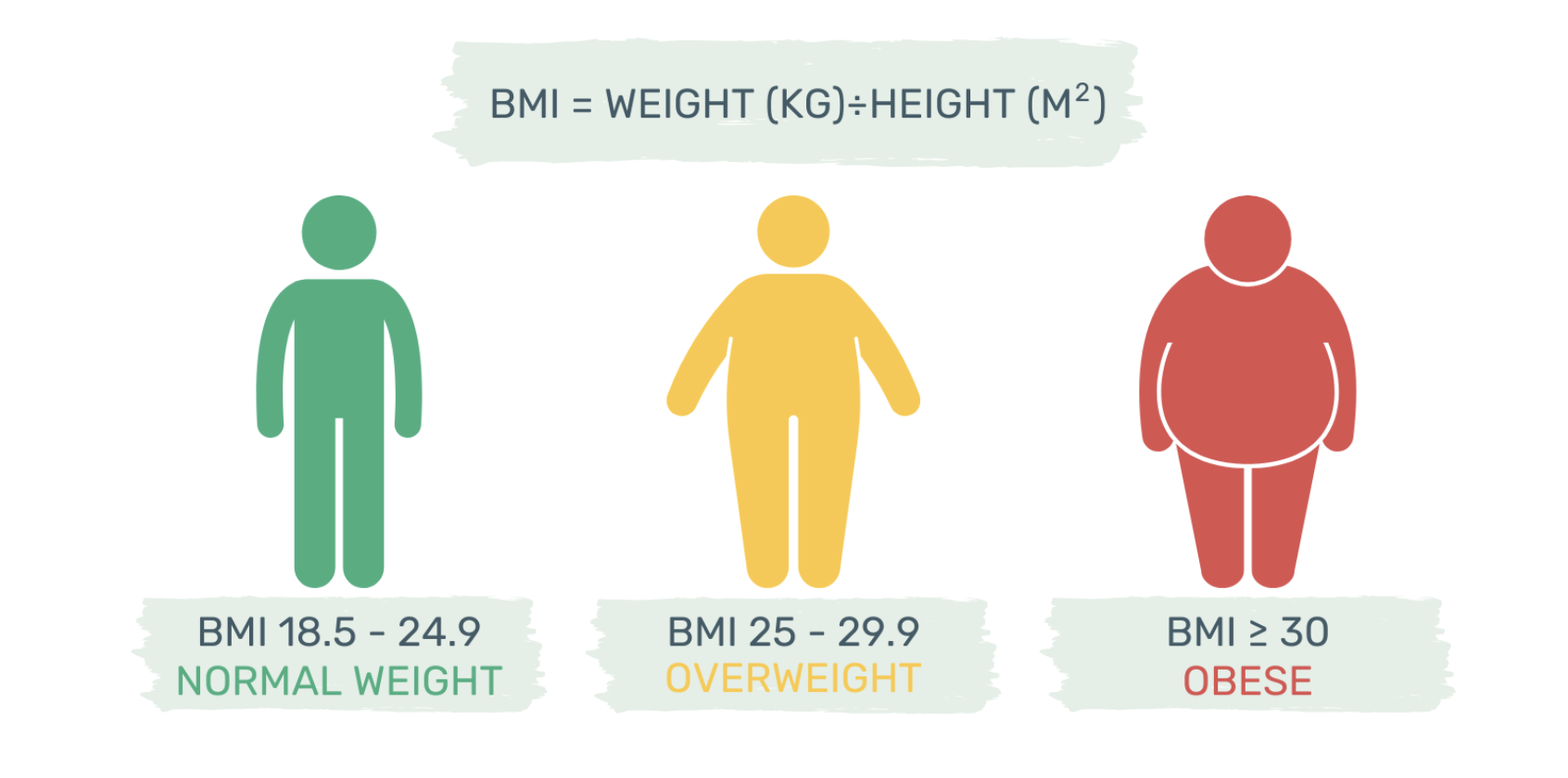 PAN International Beyond The Scale Understanding Obesity For Medical 