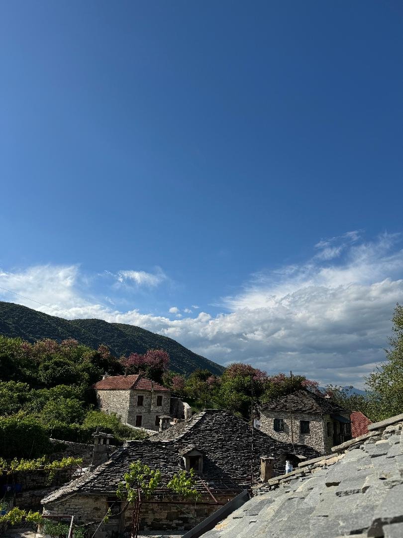 roofview3.jpg