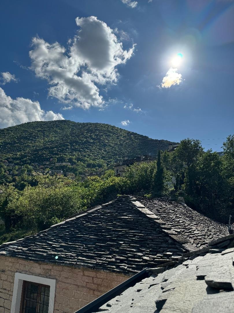 roofview2.jpg