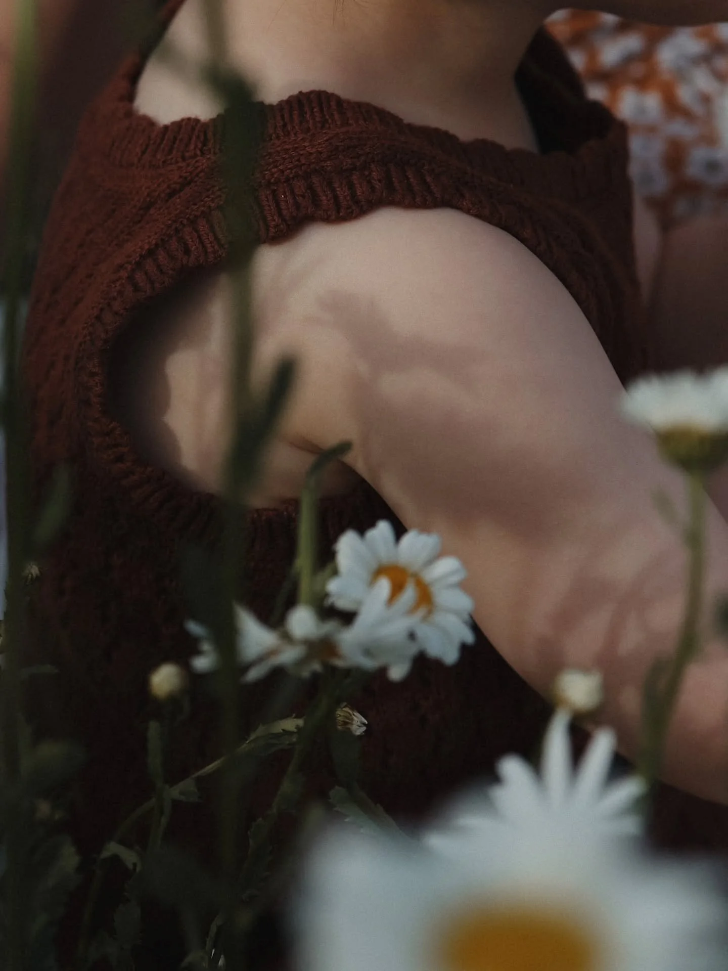 🌼 summer details 🌼

FAMILIENFOTOGRAFIE
FOTOGRAFINHAMBURG 
MOTHERHOODPHOTOGRAPHY 
#fotomeyerweekly