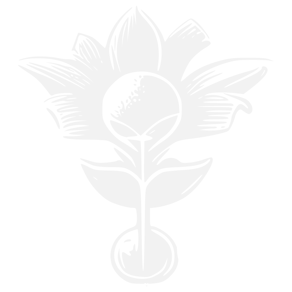 From the Panaceum Drinks Logo