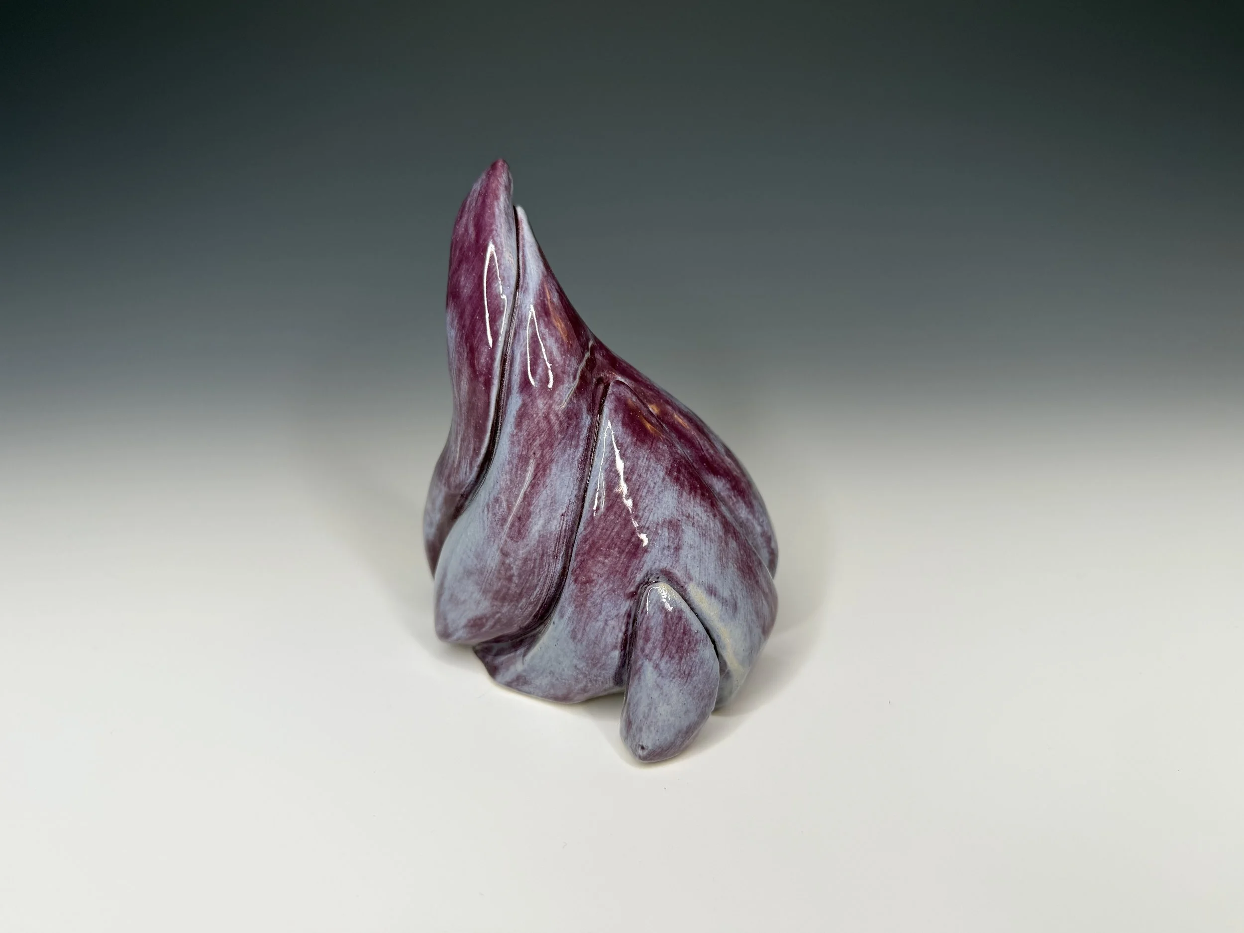Onion