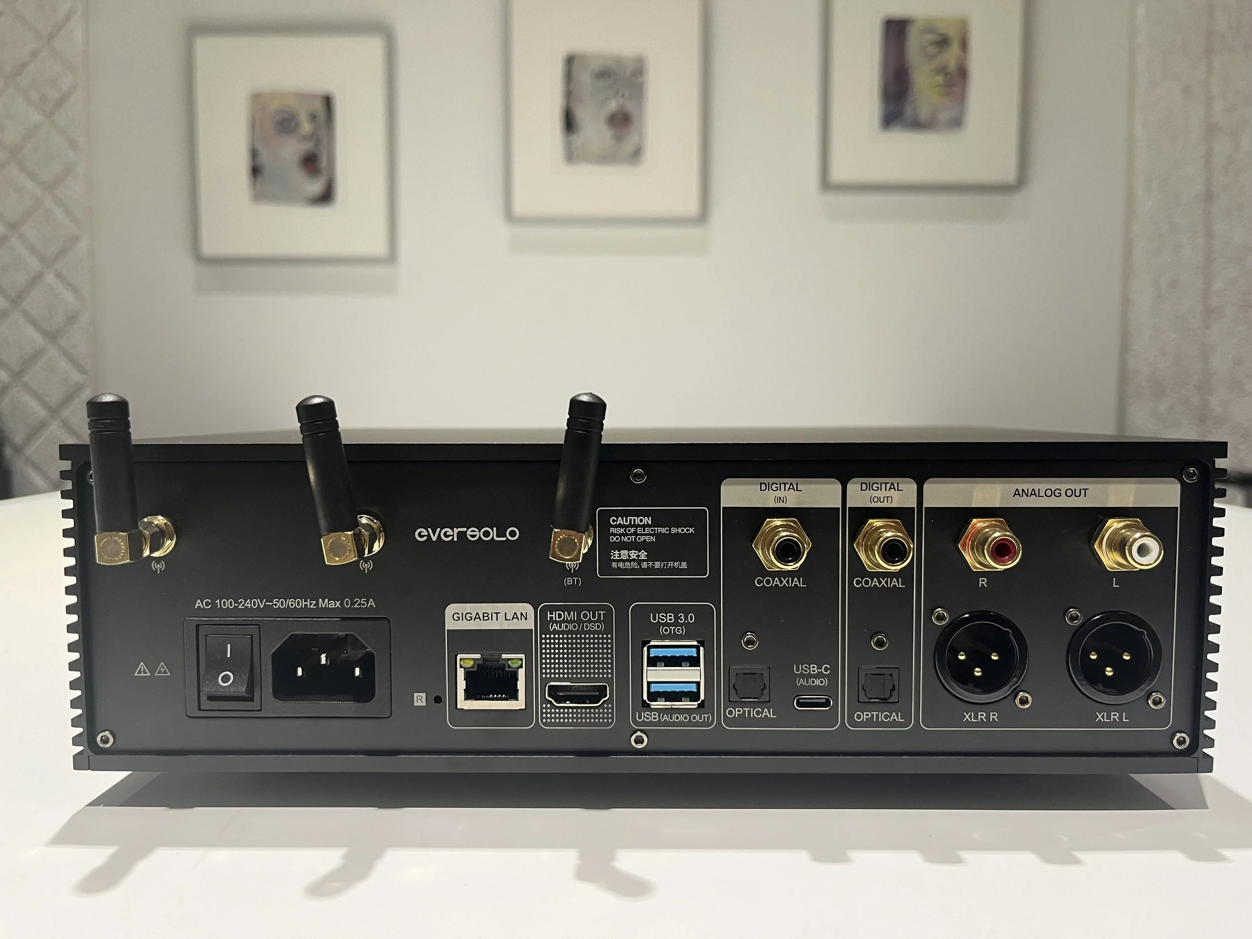 EverSolo Master Edition DMP-A6