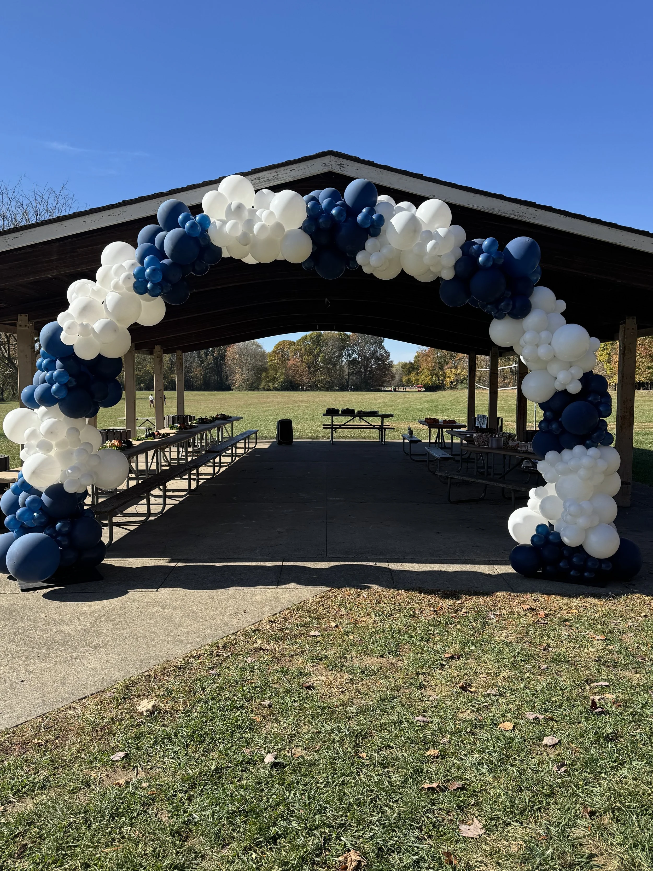25ft Balloon Arch