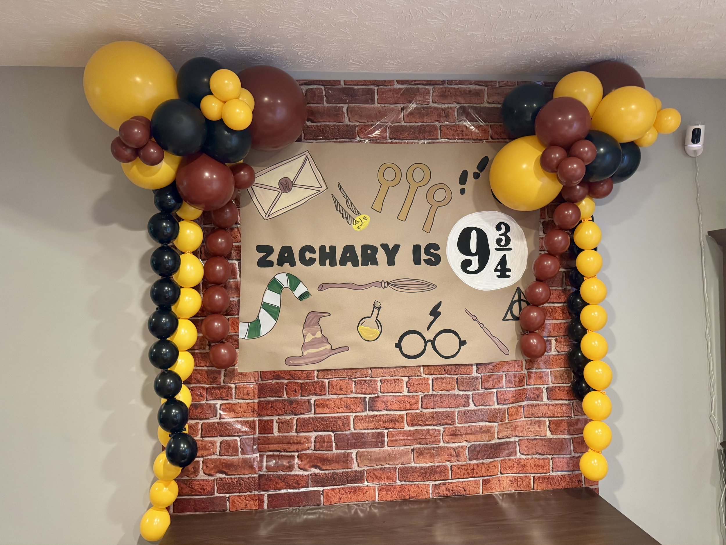 Harry Potter Birthday | Balloon Clusters and Beads with Custom Hand Painted Banner | Louisville, KY