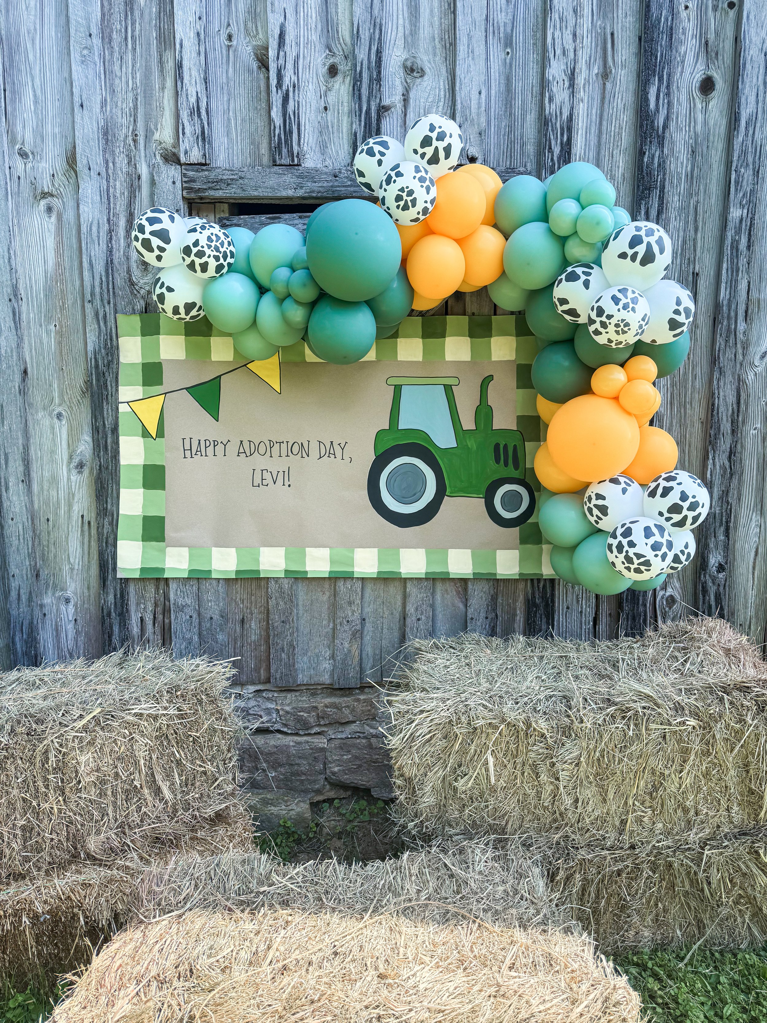 Farm Adoption Celebration | 7 Cluster Balloon Garland and Custom Hand Painted Banner | Louisville, KY