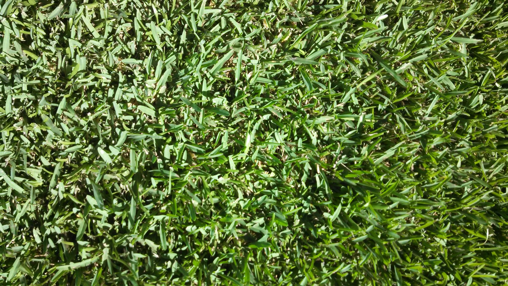 image - 2024-08-26T191904.870.png