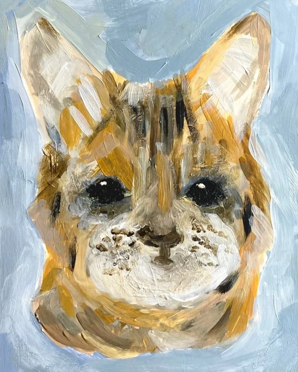 Cat.jpg