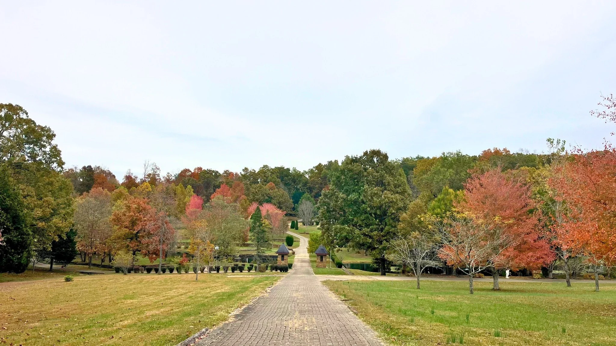 Fall colors in full bloom at Hollyhock Gardens 🍁 

Your dream day begins here &mdash; now booking 2026 weddings 💍✨ Book today and schedule a tour through the link in our bio!