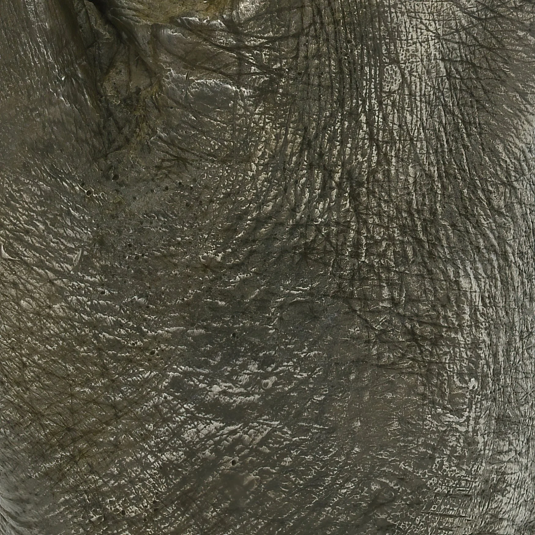 Jasper Johns