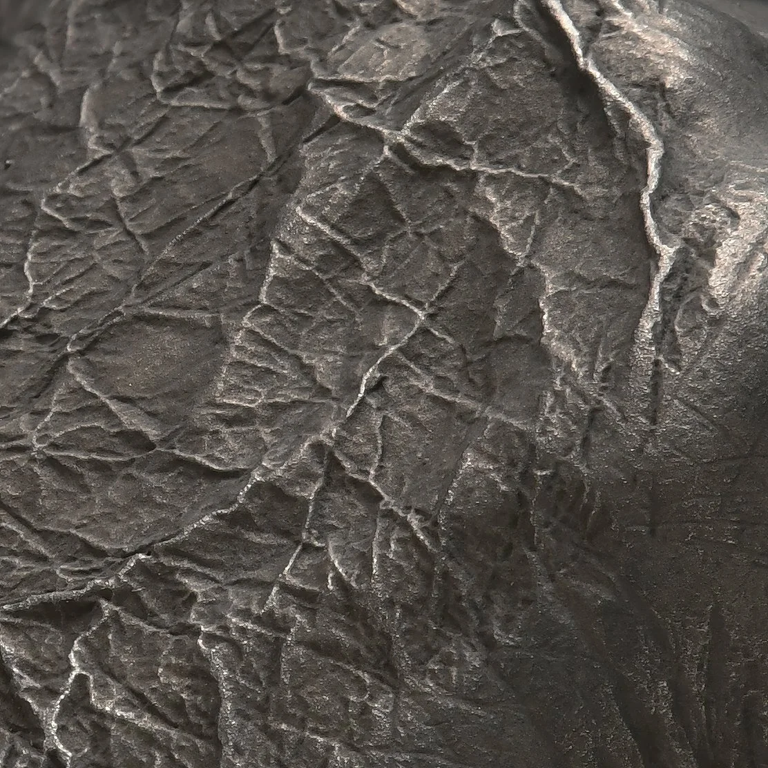 Pai Detail2 LR .jpg