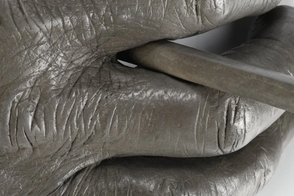 Kendrick Detail 1 LR.jpg