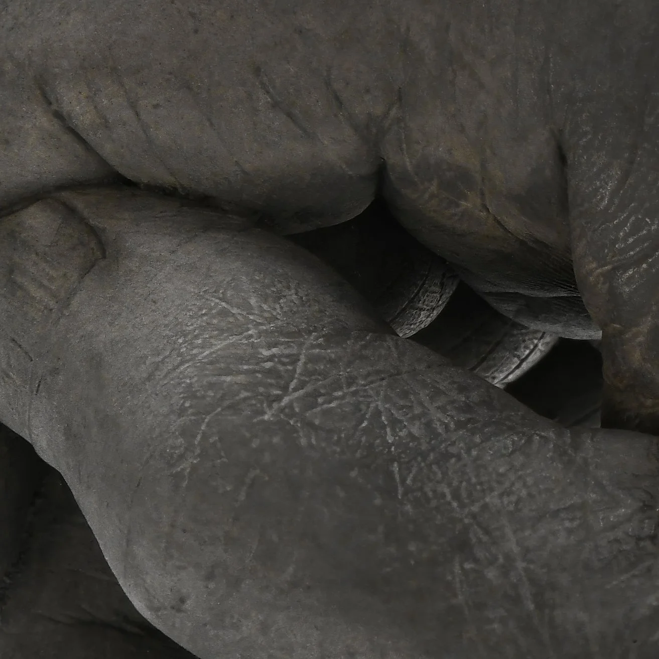 Pai Detail1 LR.jpg