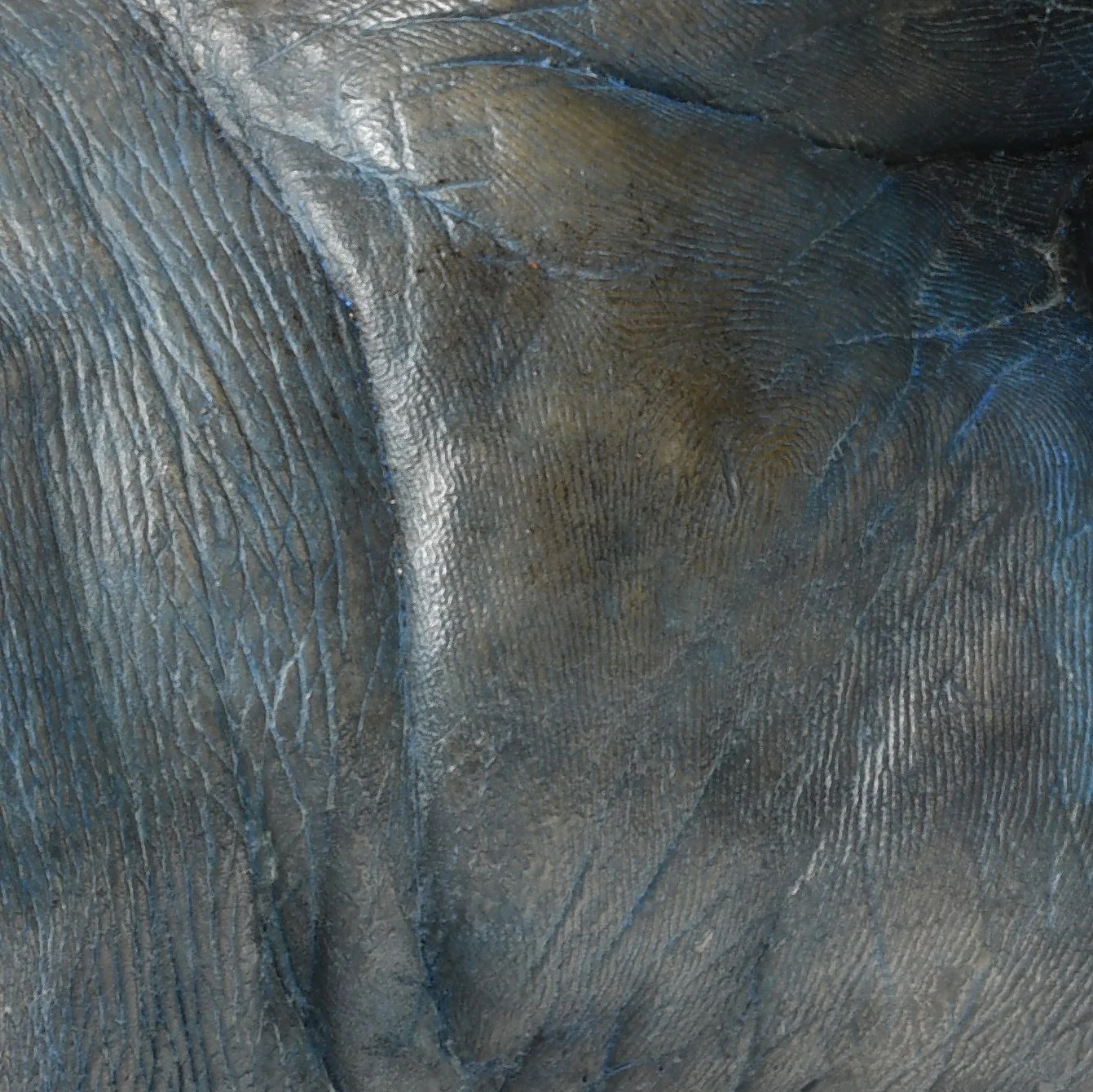 Detail LR.jpg