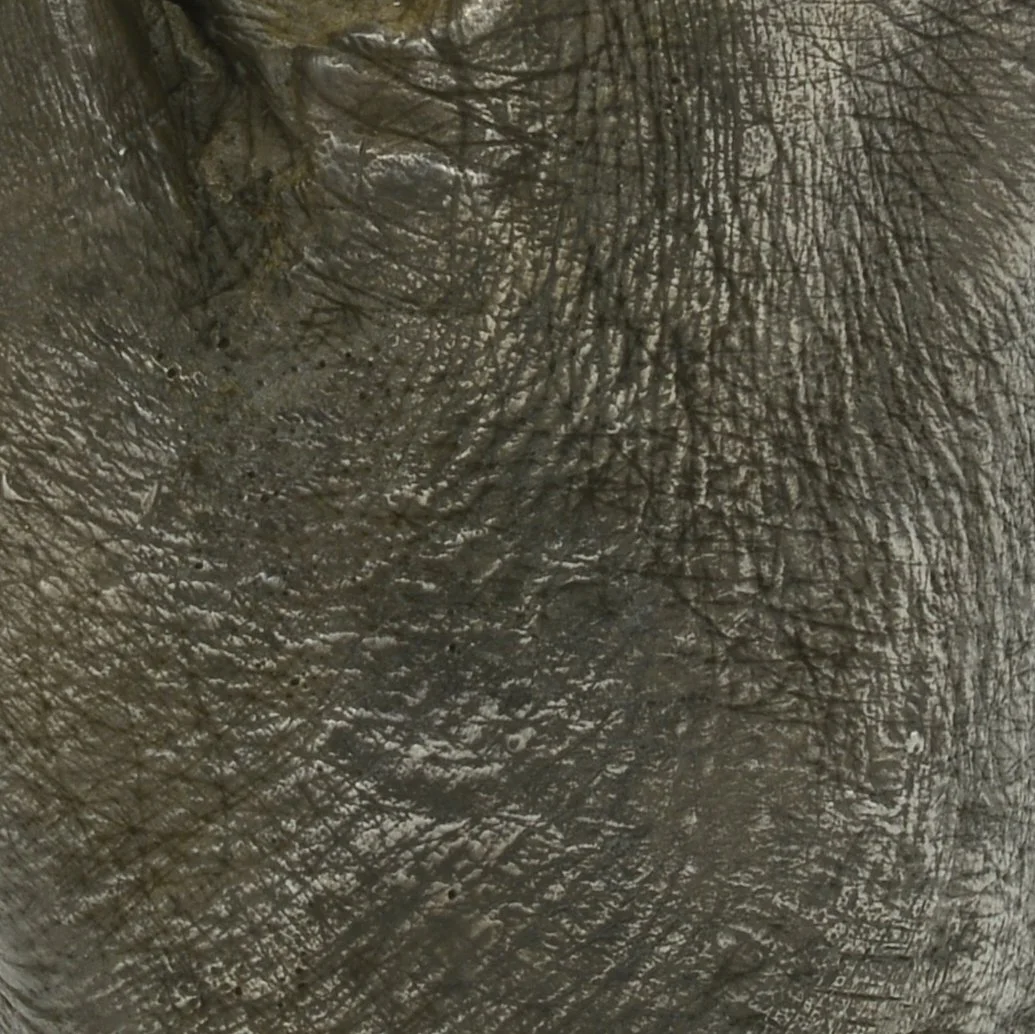JohnsDetaila.jpg