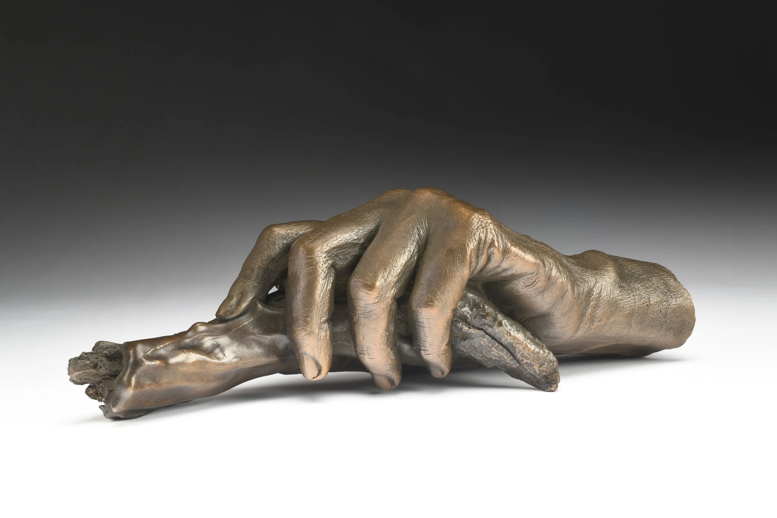 443 444 Merged.jpg