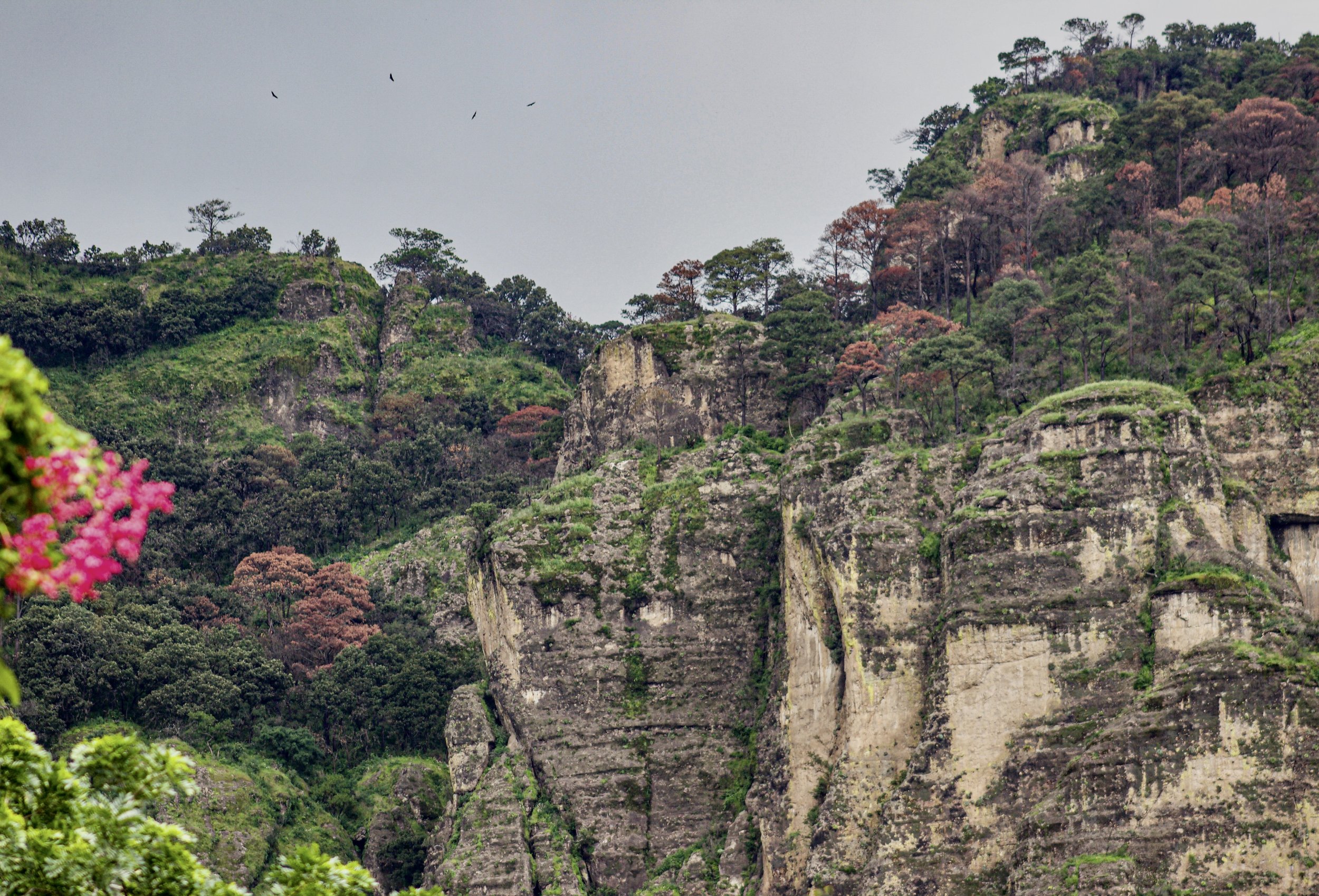 JULY: The iconic mountains of Tepoztlán, México | Some of us might remember places we visited while growing up where we first connected with nature. For me, that place is Tepoztlán—a small town near Mexico City, where the mountains are a constant bac