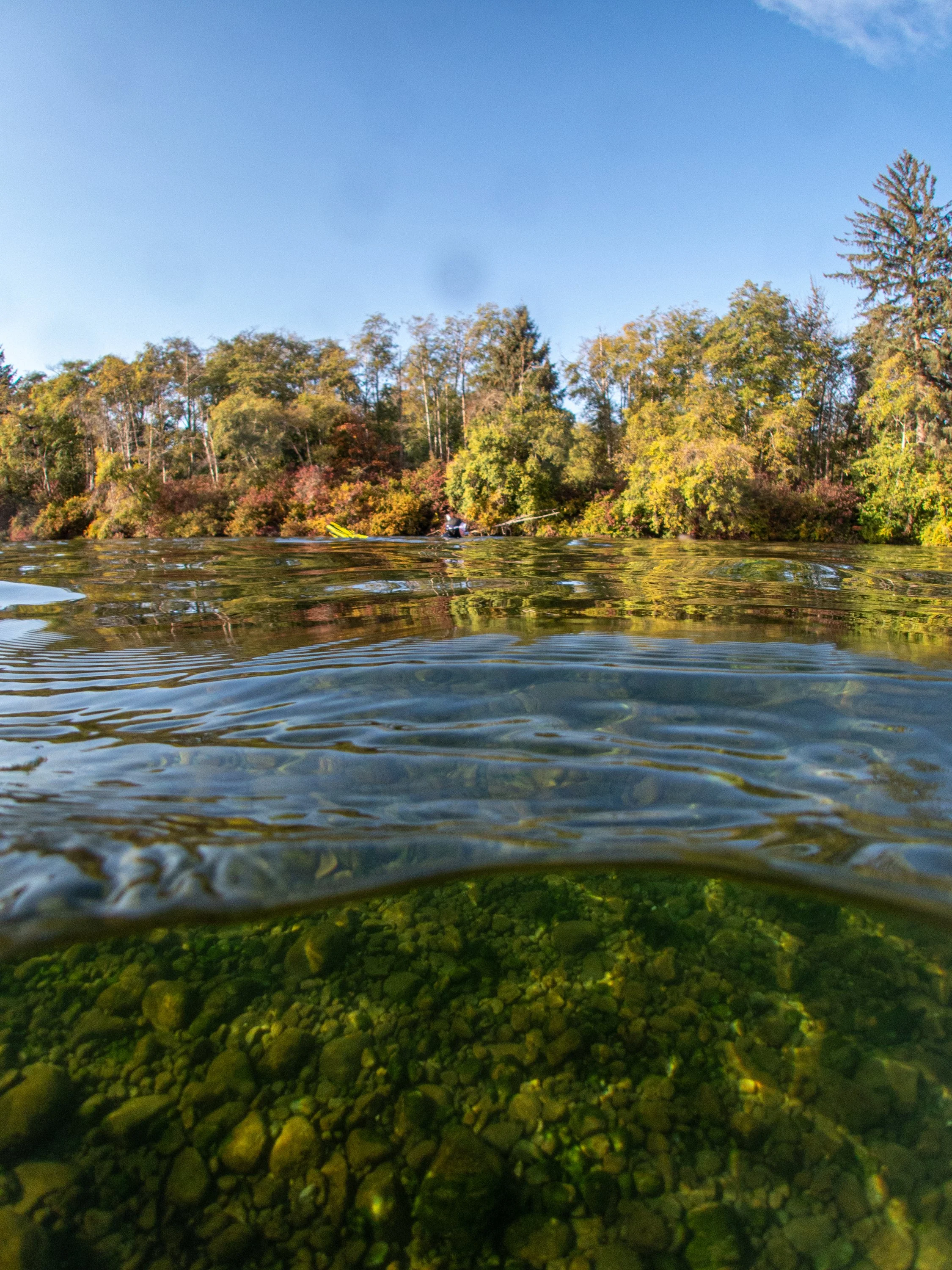 P9120268-2.jpg
