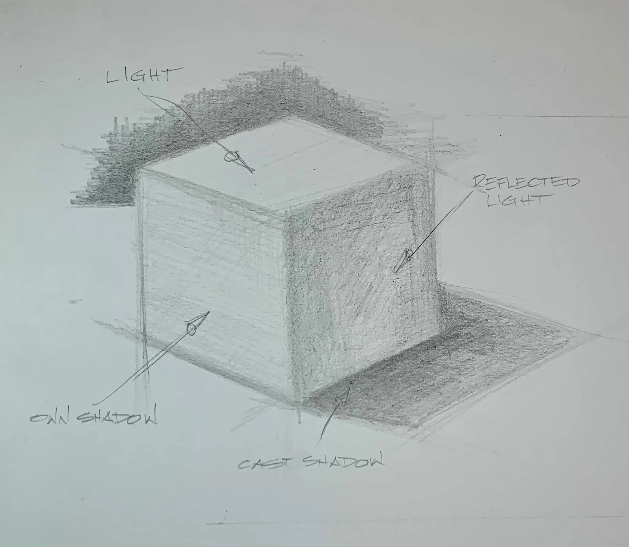 IMG_7764.jpeg (Copy) (Copy) (Copy)