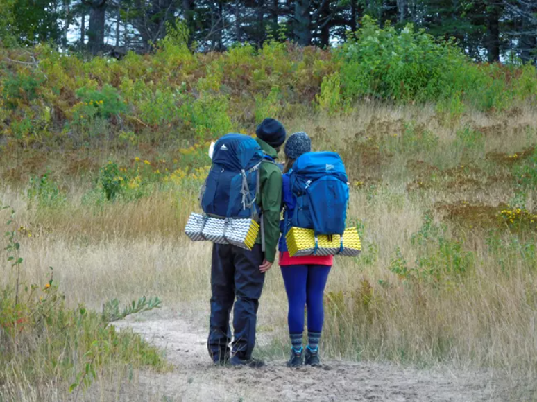 Screenshot 2026-03-14 11.05.33 AM.png