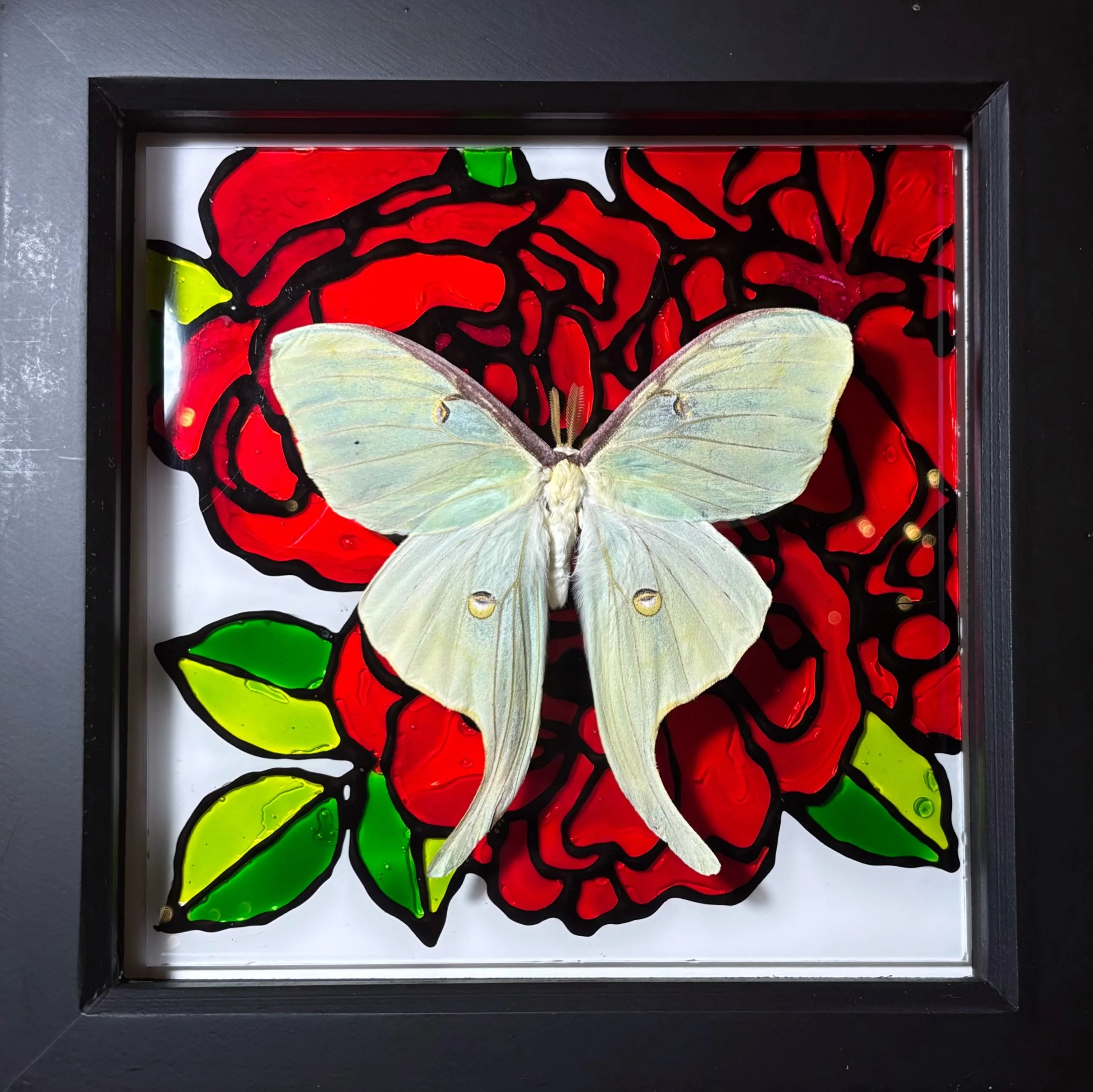 Luna Moth Medium Frame