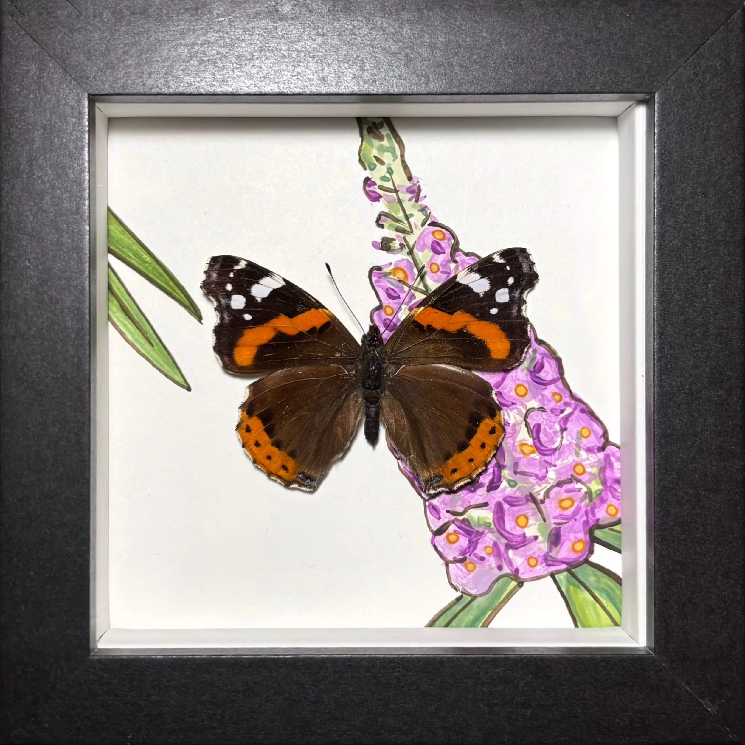 Red Admiral Small Frame