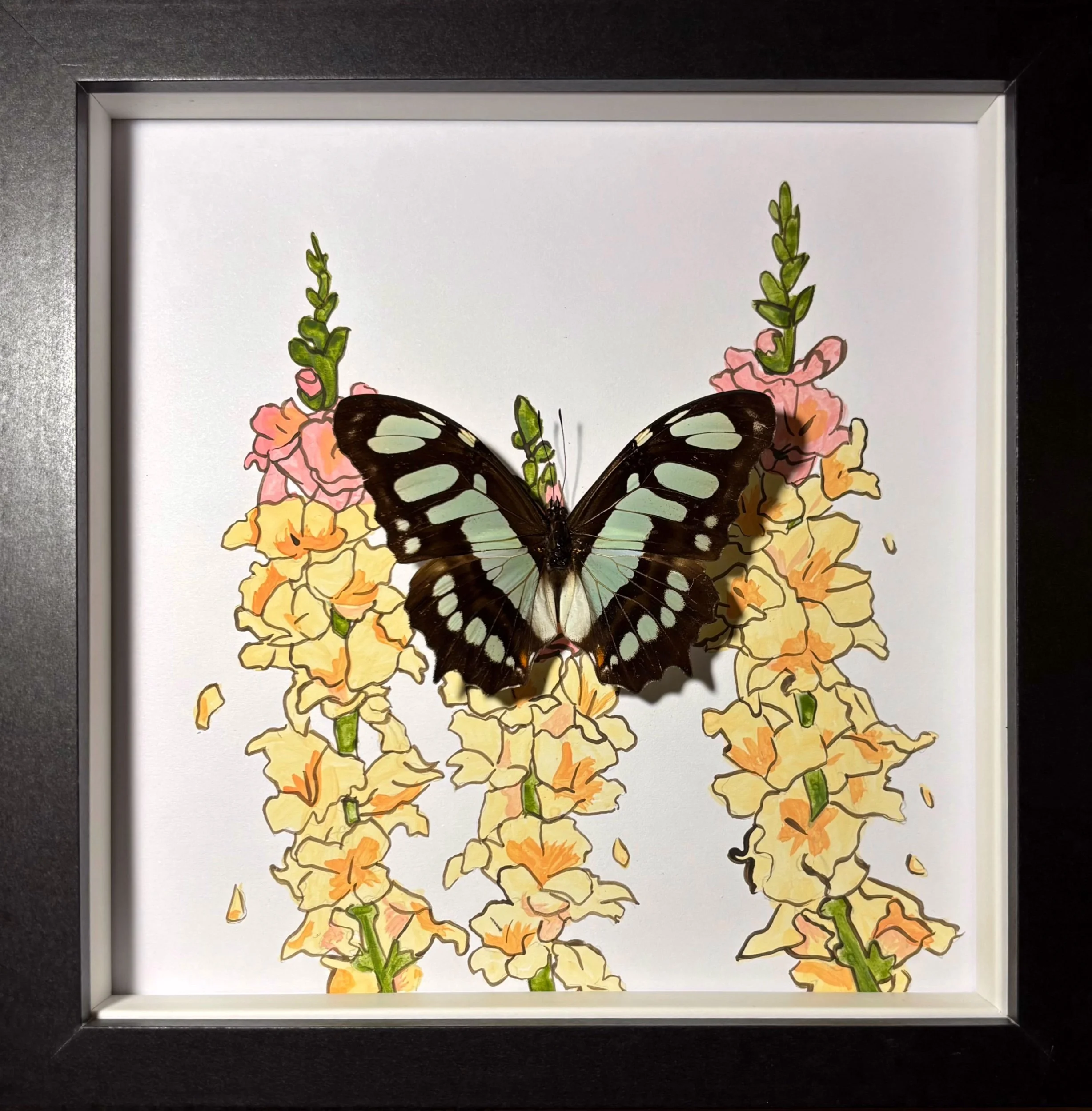 Malachite Butterfly Medium Frame