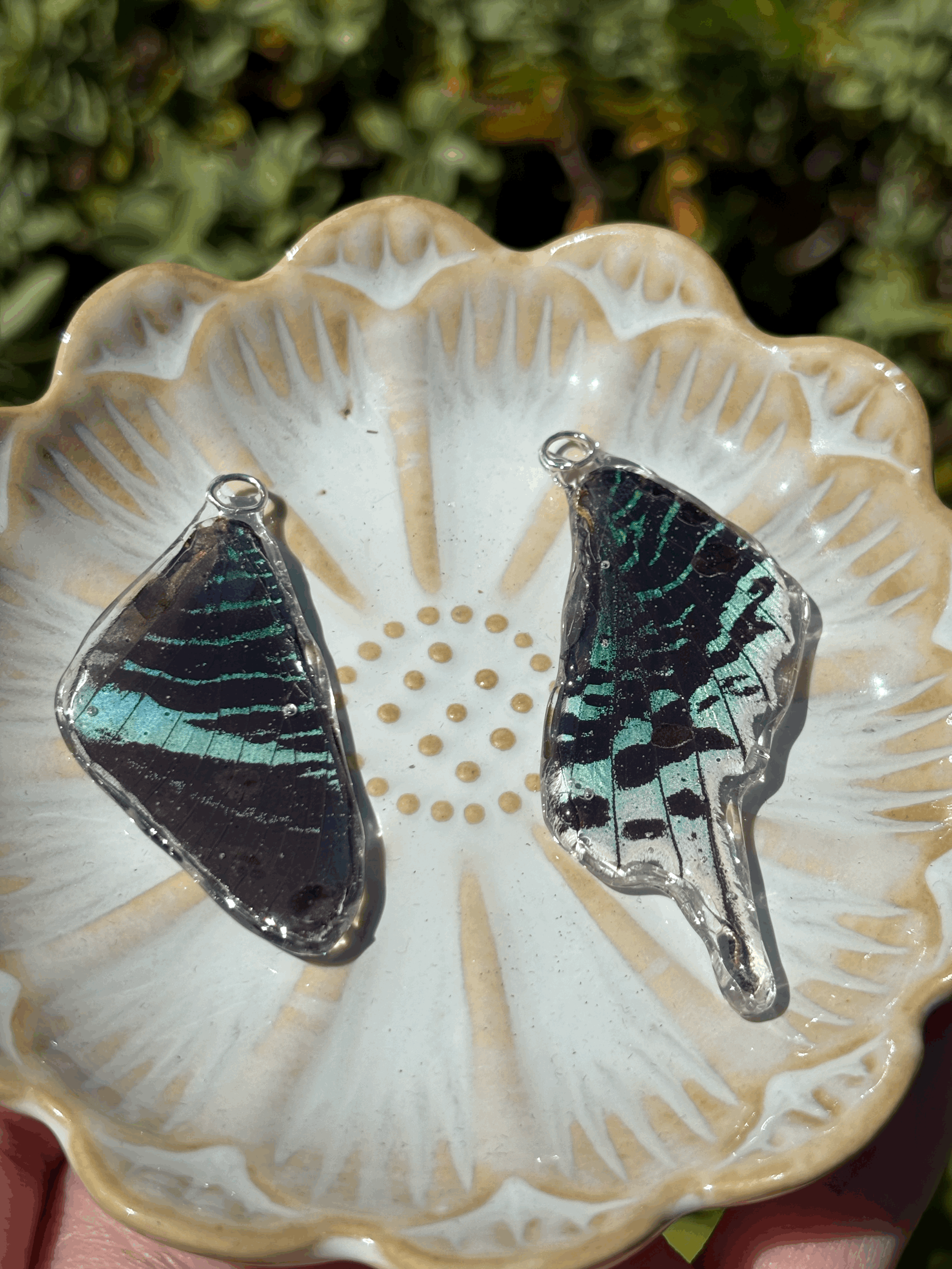 tempImagesPG4i8.gif