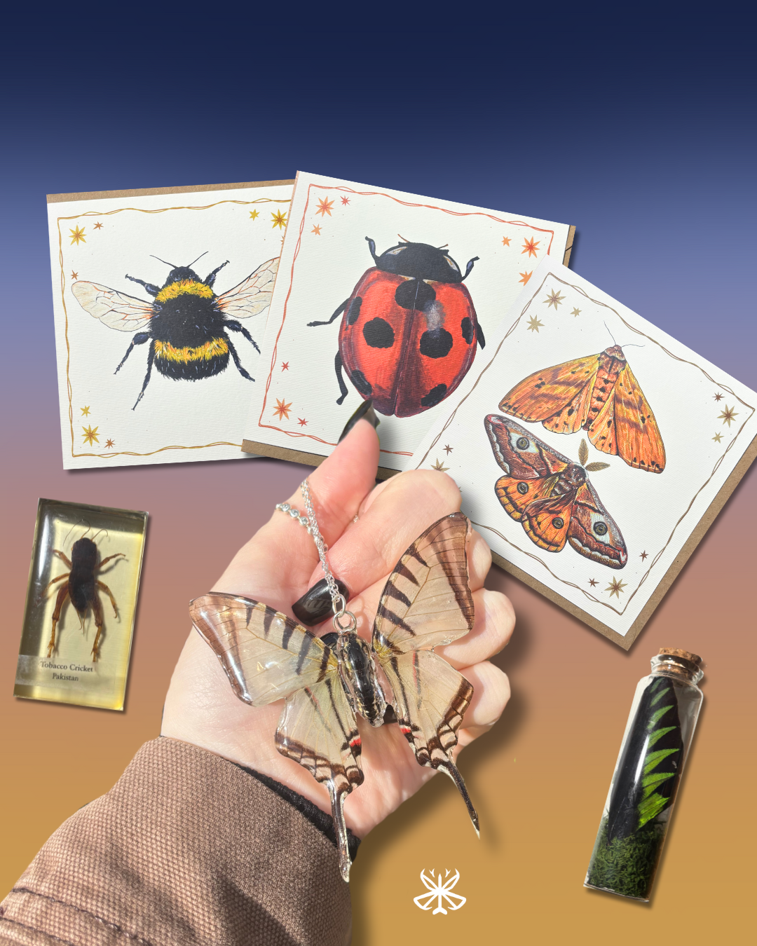 The Bug Box 2025 Edition