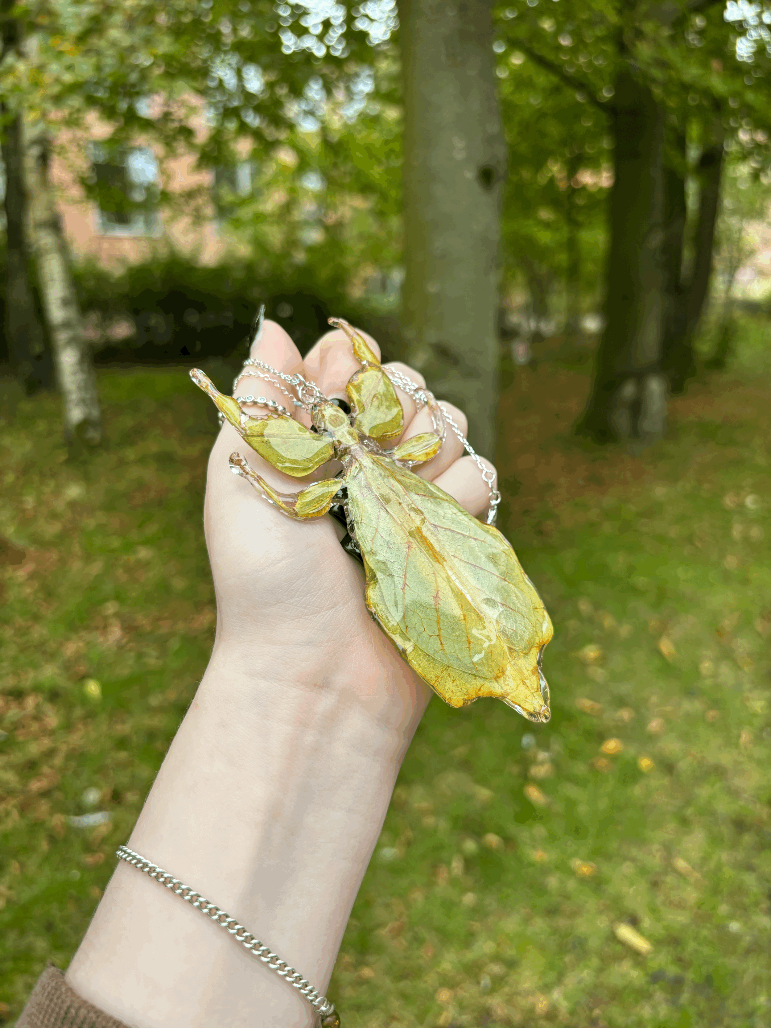 tempImageYFJx9M.gif