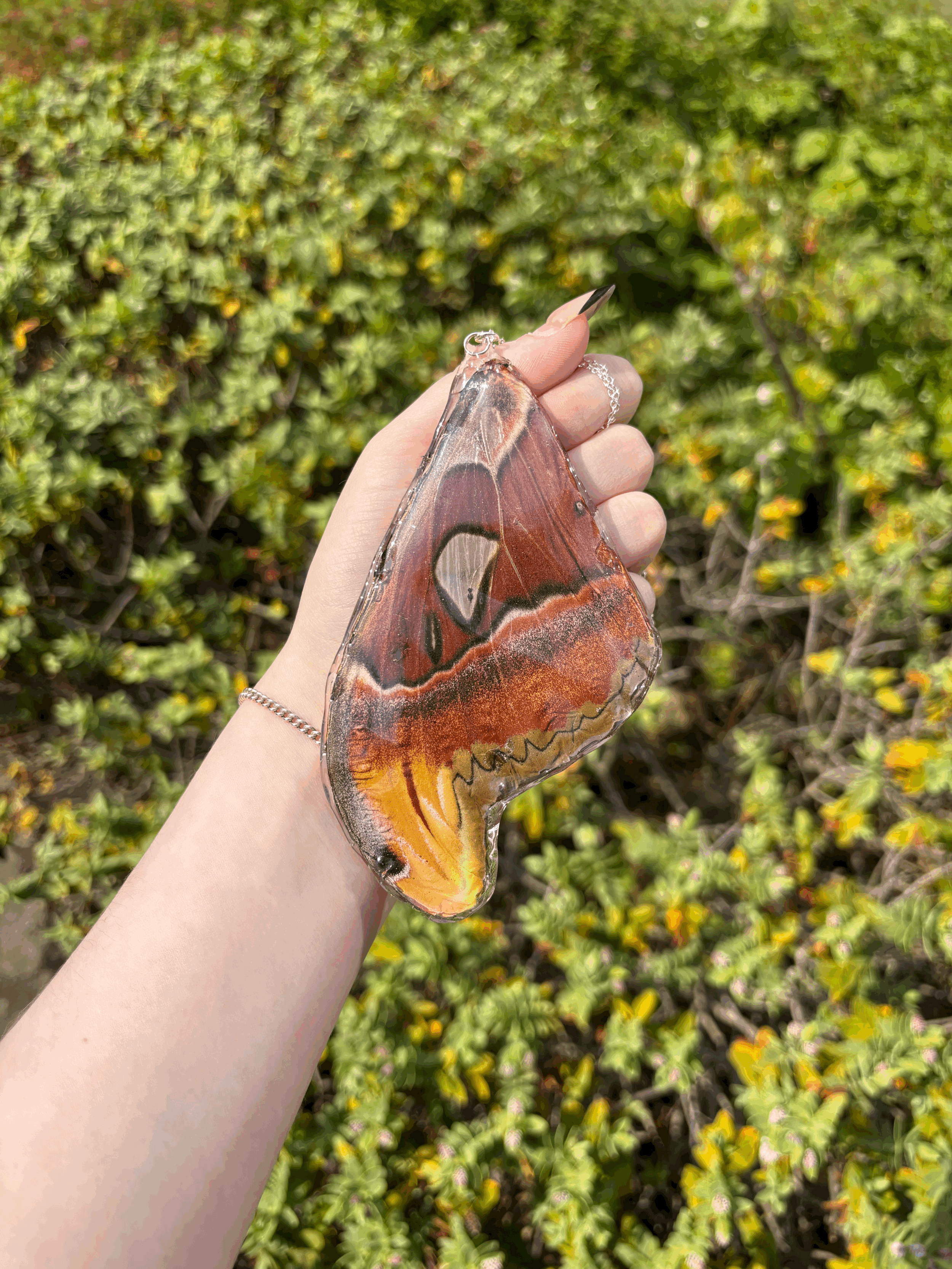 Atlas Moth Forewing Necklace