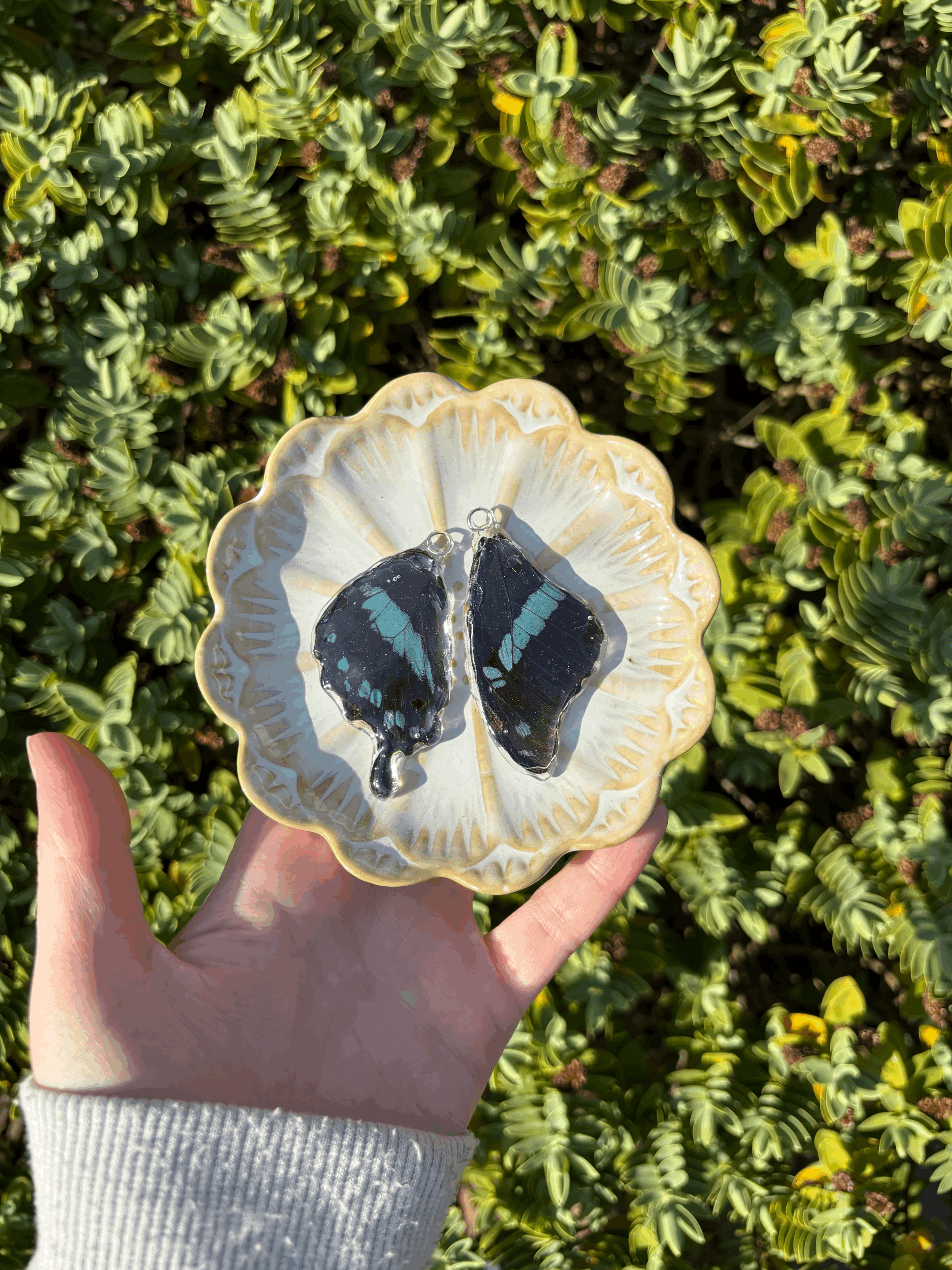 Hornimani Butterfly Pendants