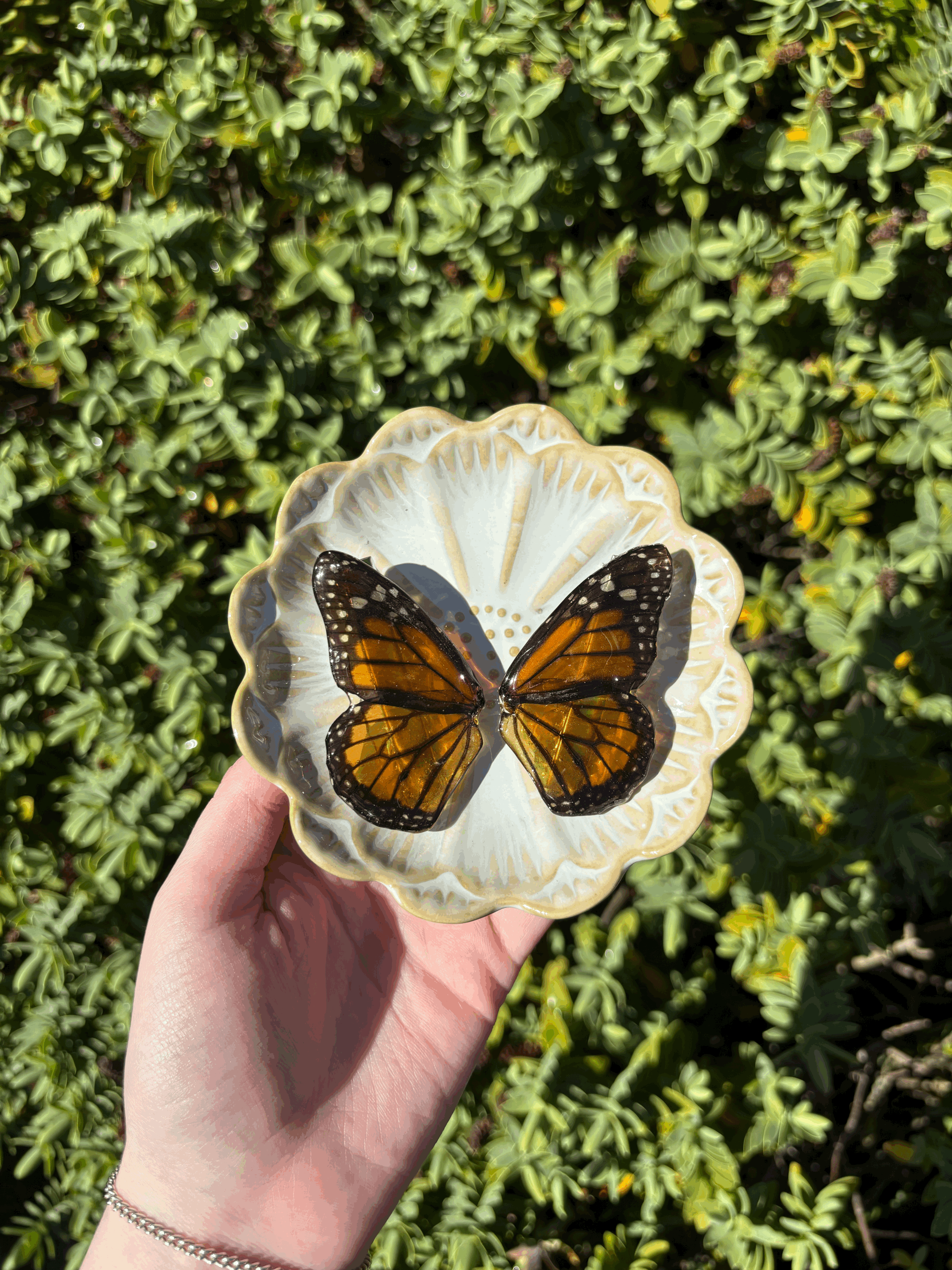 Monarch Butterfly Hairclips