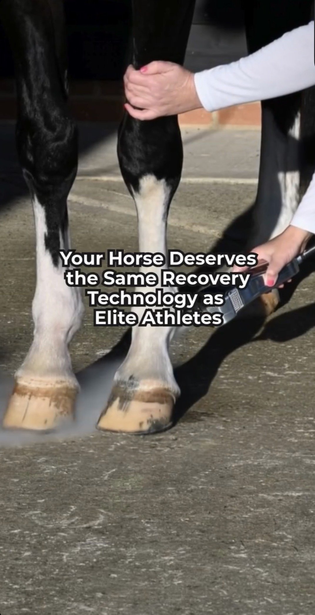 Your Horse Deserves the Right Recovery Reel