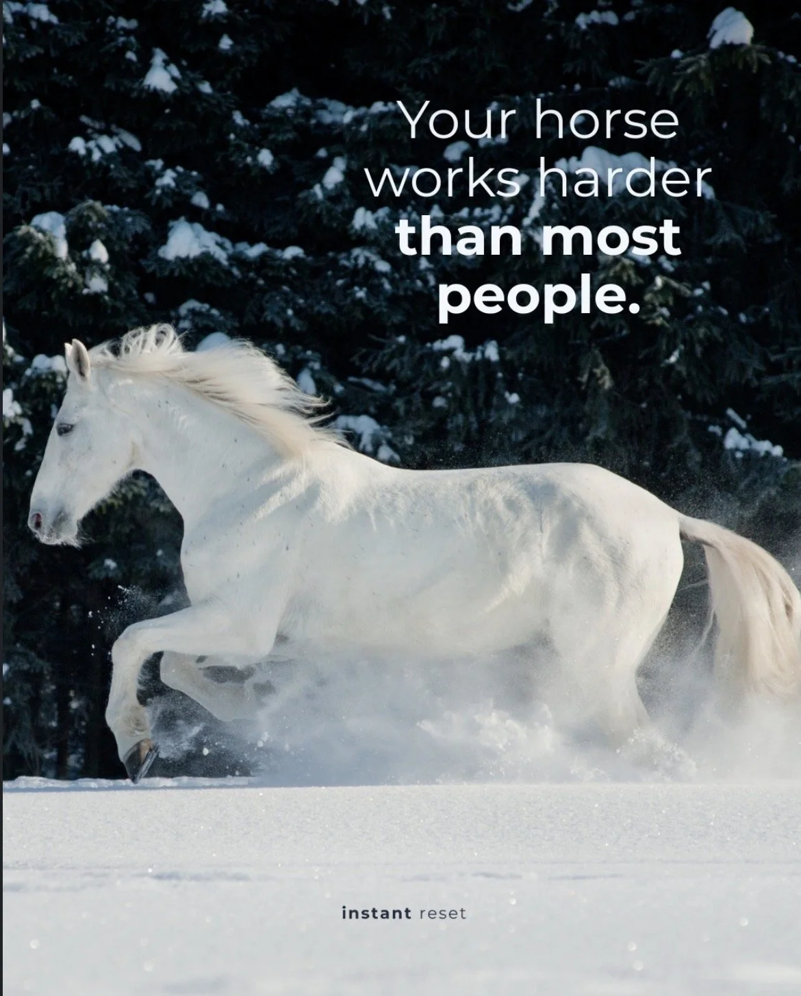 Horse Cyrotherapy Carousel