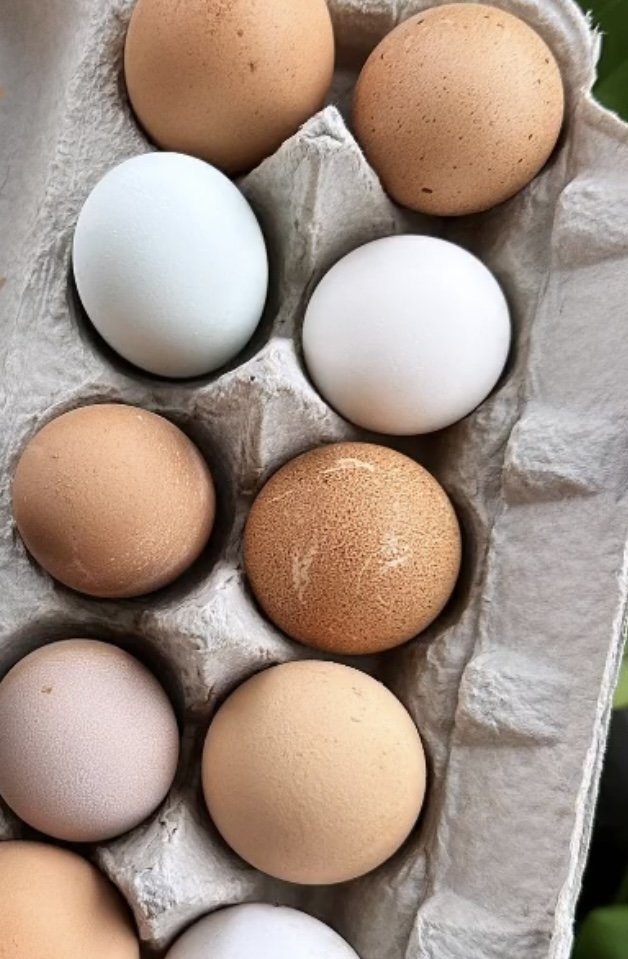Are you cracking eggs the wrong way??