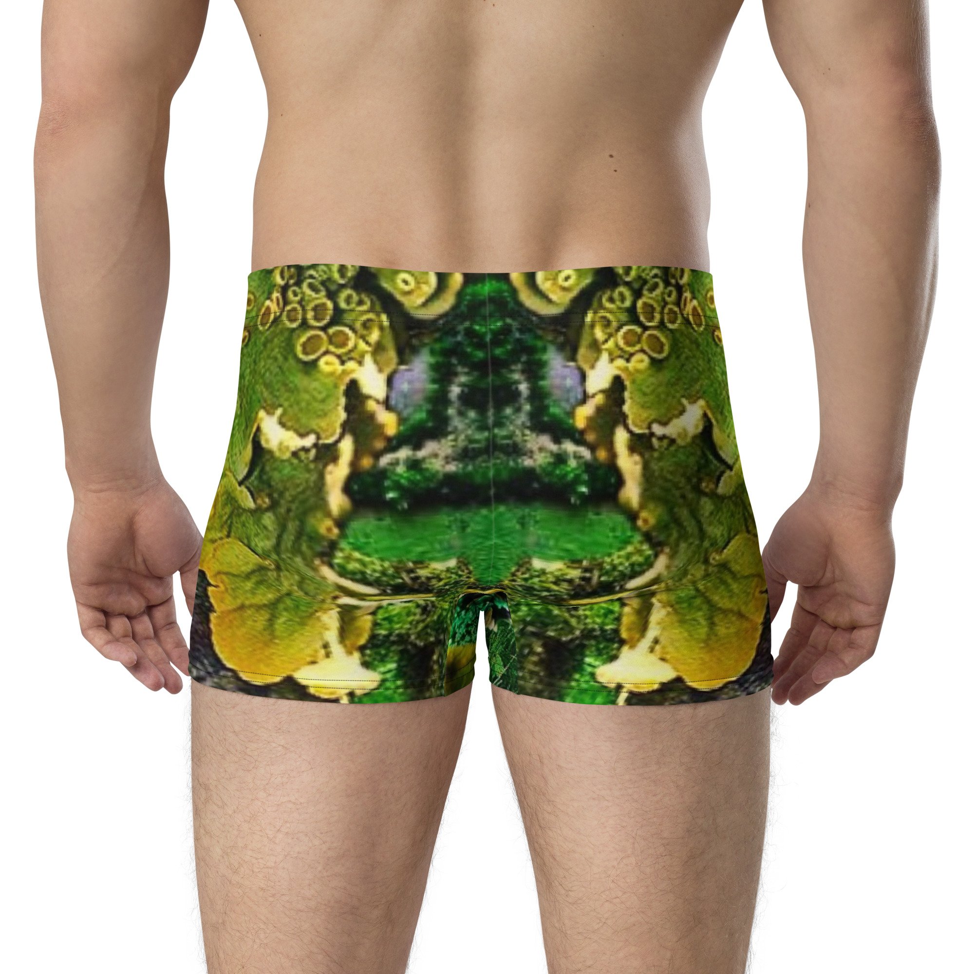 all-over-print-boxer-briefs-white-back-66c78333c9d34.jpg