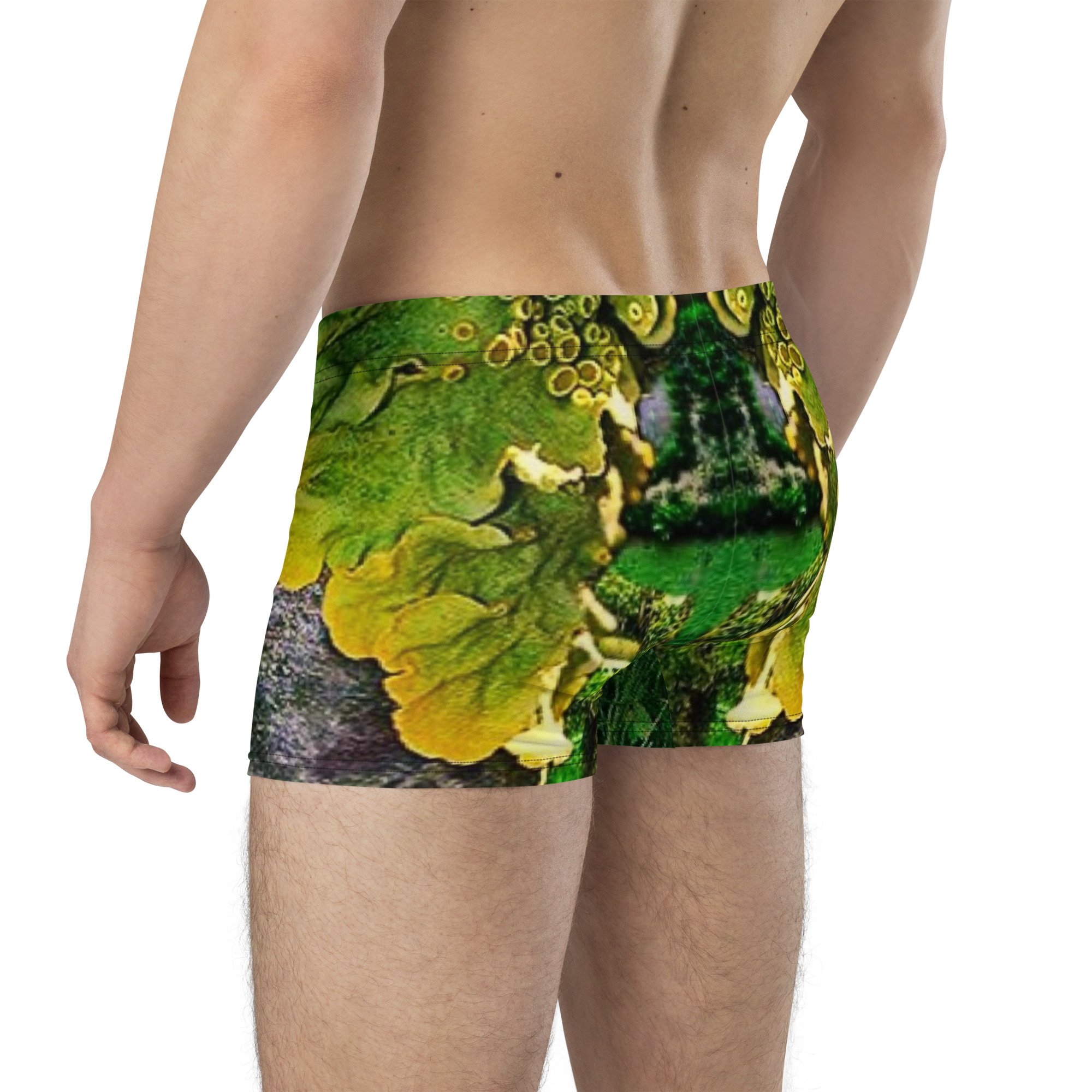 all-over-print-boxer-briefs-white-left-back-66c78333ca005.jpg