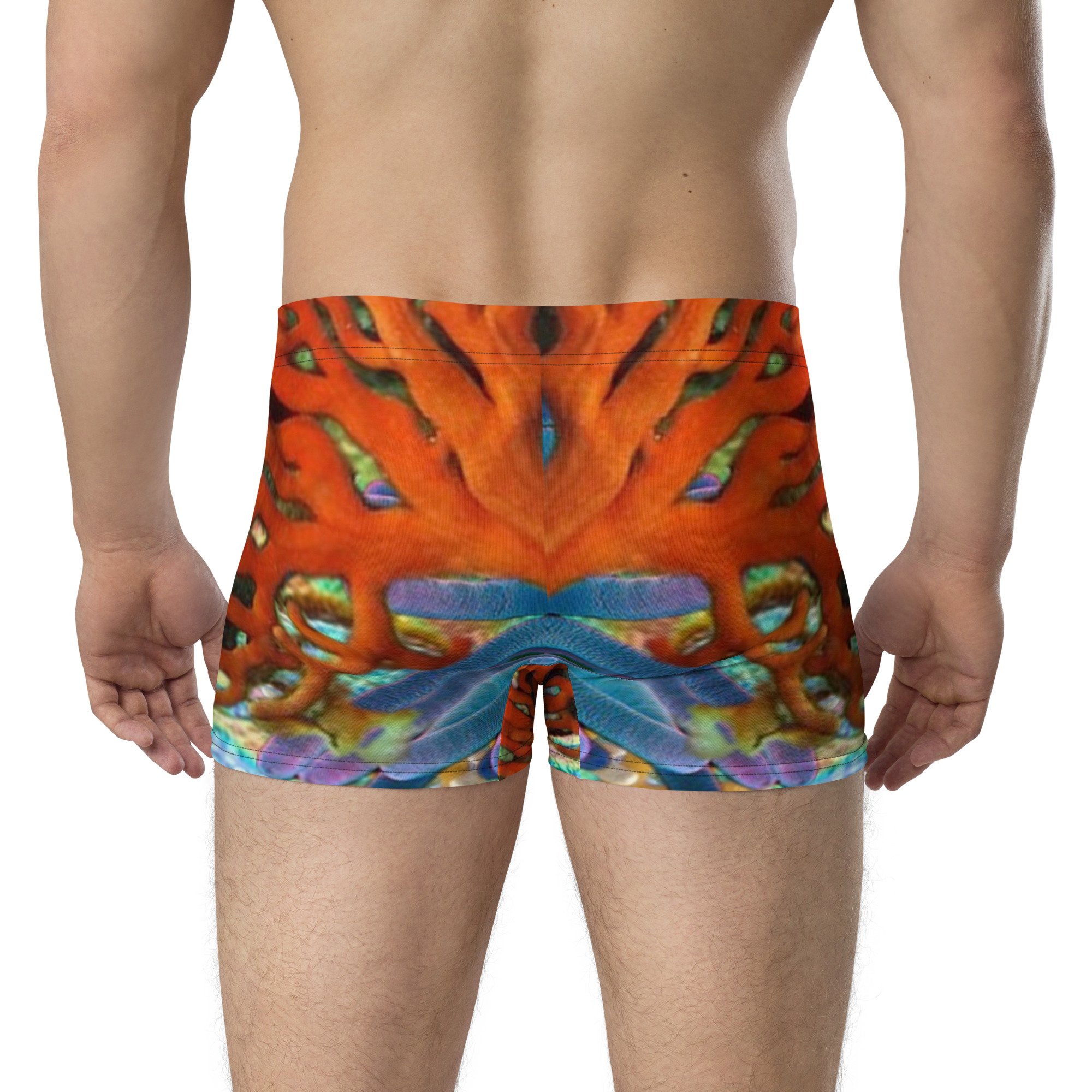 all-over-print-boxer-briefs-white-back-66c8fbc2dd8a3.jpg