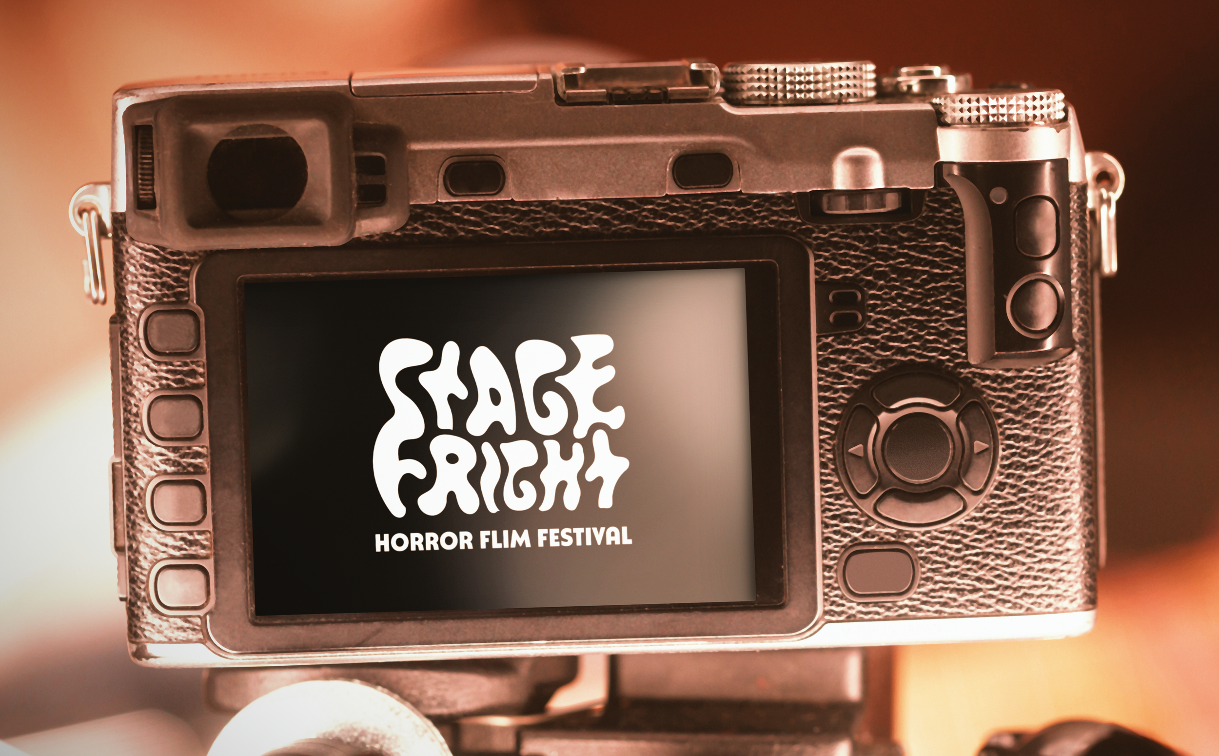 stage fest camera.png