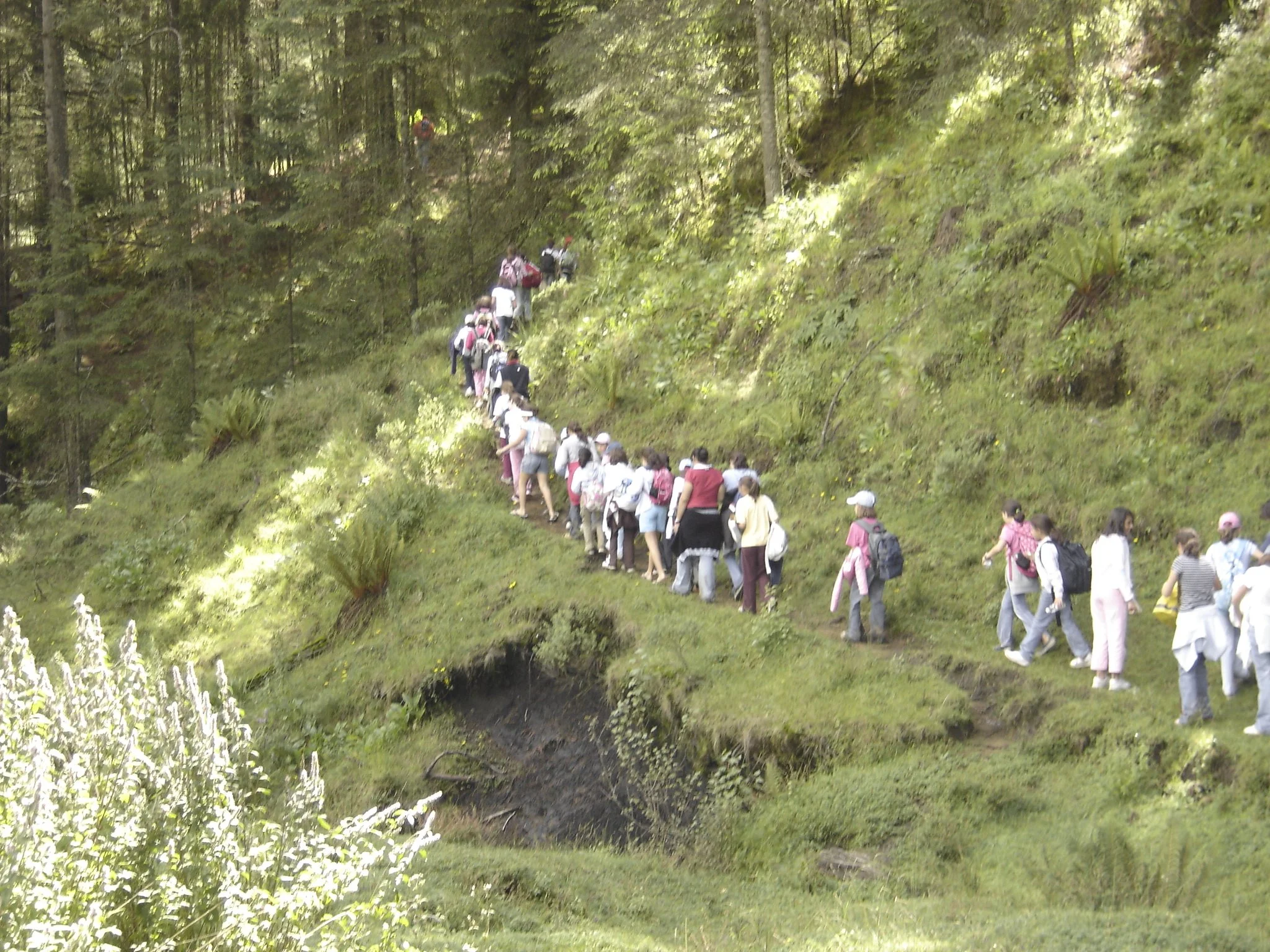 Camps-Caminata.JPG