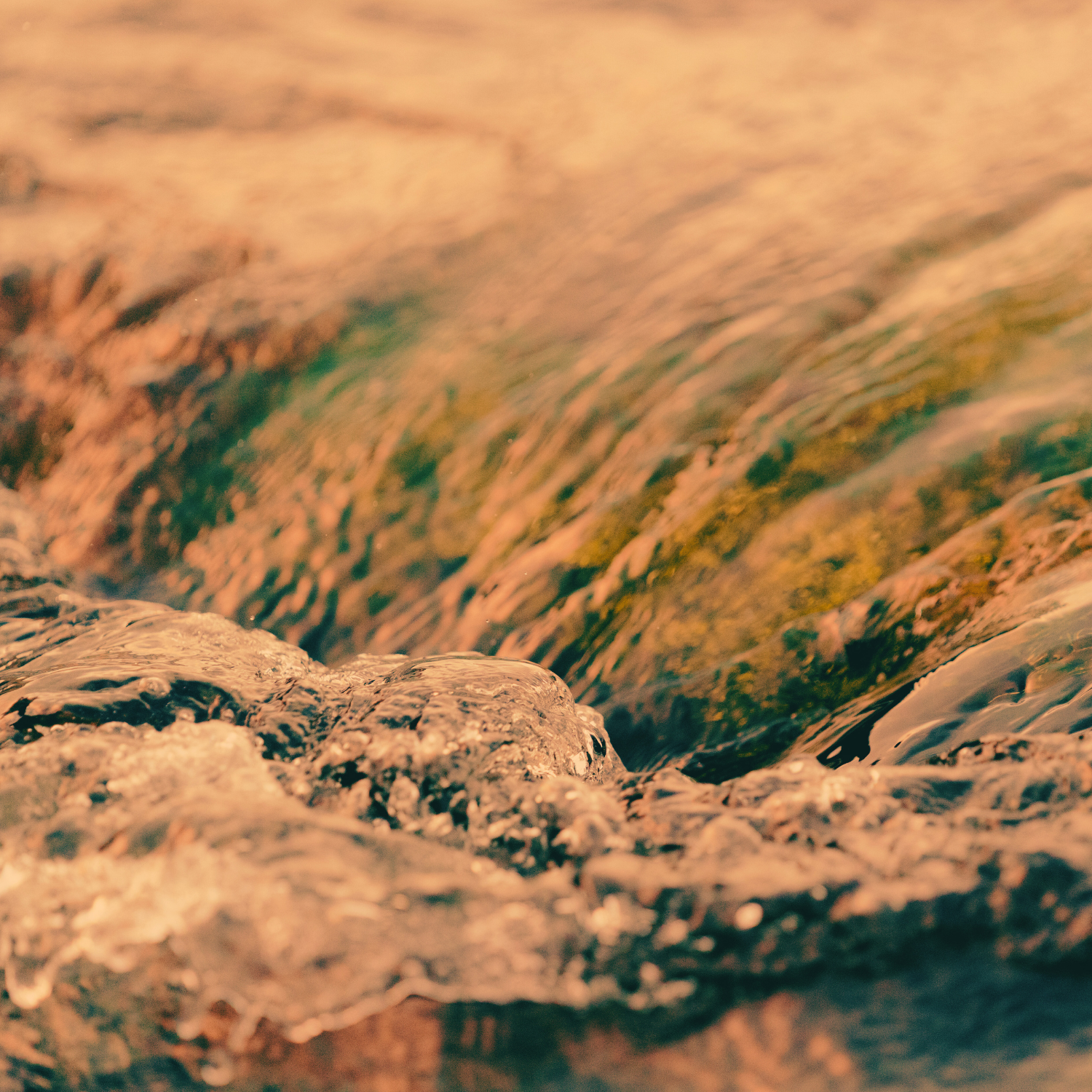 Water, Wellness, &amp; the Science That Connects Them