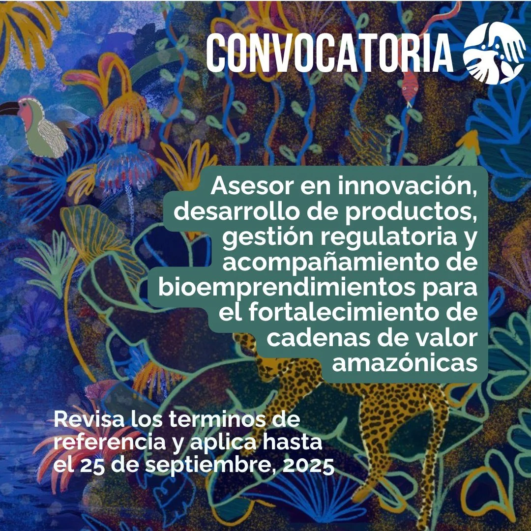 🚨 Convocatoria 🚨

Posici&oacute;n: Asesor en innovaci&oacute;n, desarrollo de productos, gesti&oacute;n regulatoria y acompa&ntilde;amiento de bioemprendimientos para el fortalecimiento de cadenas de valor amaz&oacute;nicas para el Proyecto &ldquo;