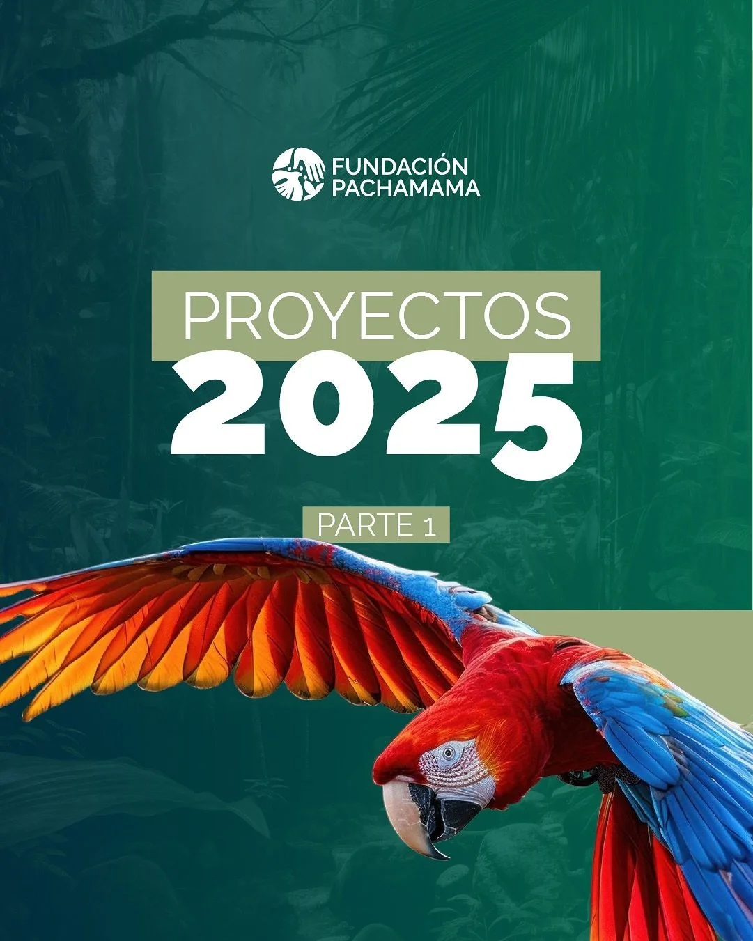 Desde Fundaci&oacute;n Pachamama trabajamos con transparencia y compromiso junto a aliados internacionales que conf&iacute;an en nuestra gesti&oacute;n y en el poder de la cooperaci&oacute;n para conservar la Amazon&iacute;a y fortalecer a sus pueblo