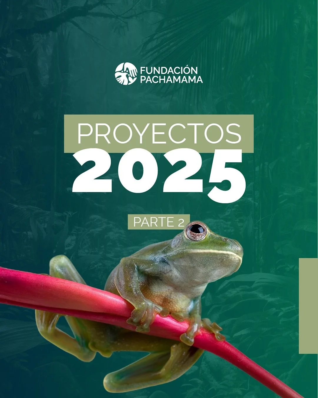 Seguimos compartiendo los proyectos que impulsamos junto a nuestros aliados internacionales, reflejo de un compromiso com&uacute;n: proteger la Amazon&iacute;a y fortalecer a sus pueblos desde el territorio. 

⏩ &iexcl;Desliza para conocer sobre cinc