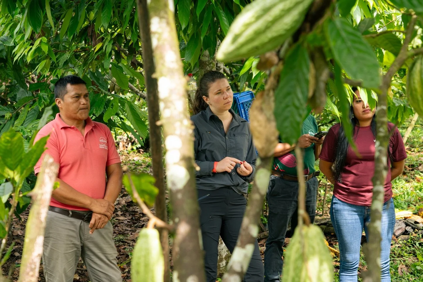 Concluimos exitosamente el Proyecto Chakra junto a la Agencia Francesa de Desarrollo (@afd_france ) con un recorrido por Tena y Puyo que nos llev&oacute; a conocer de cerca a quienes hicieron posible este proyecto: productore/as, familias, emprendedo