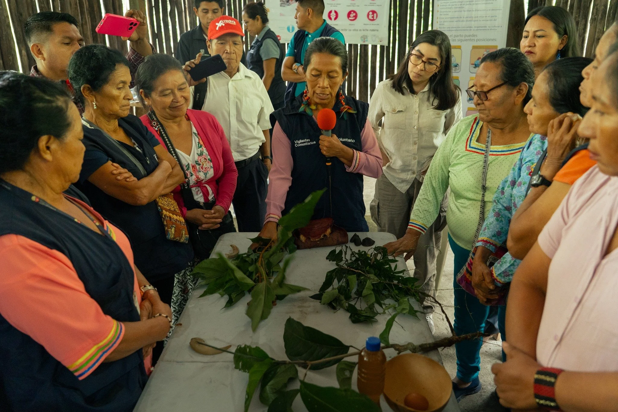 El pasado 22 de mayo, parteras y parteros de las nacionalidades Waorani, Kichwa y Shuar se reunieron en un Encuentro Intercultural de Parteras de Pastaza para compartir saberes ancestrales sobre el cuidado de la vida: el uso de plantas medicinales en